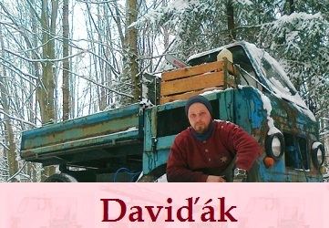 Davik